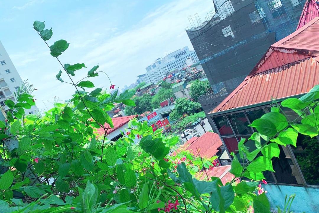 Photo of Others in Hoang Mai