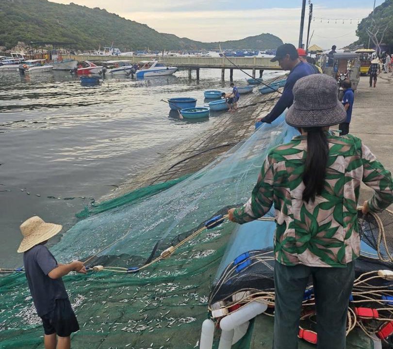 Photo of Others in Vinh Hy
