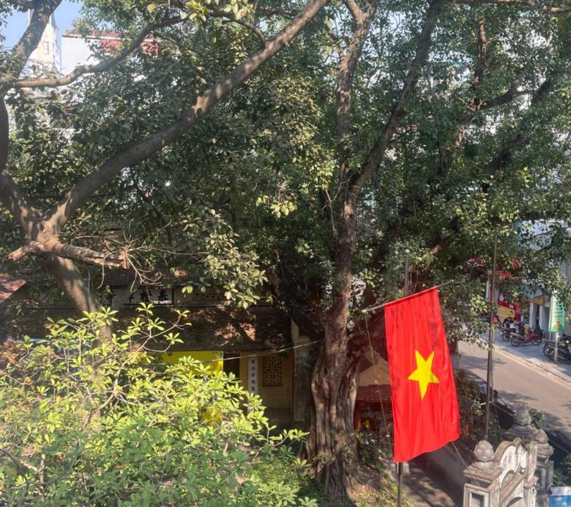 Photo of Others in Hang Bo