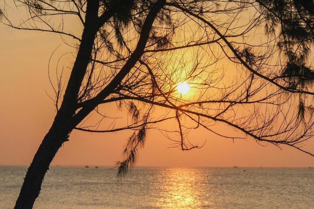 Photo of Others in Suoi Nuoc Beach