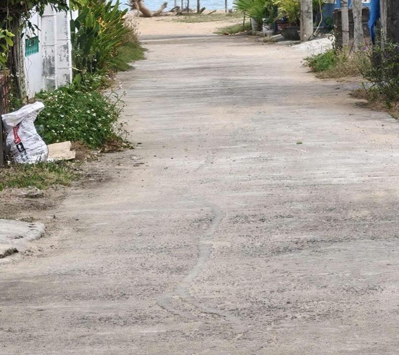 Photo of Others in Dong Hoa