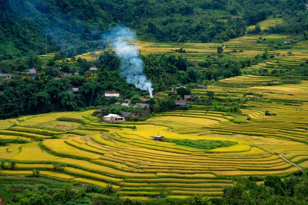 Photo of Others in Nam Mau