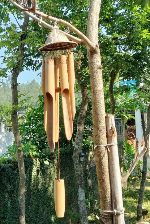 Photo of Others in Tam Dao