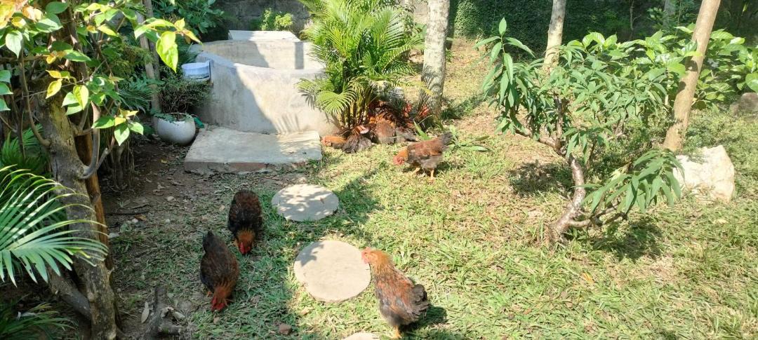 Photo of Others in Tam Dao