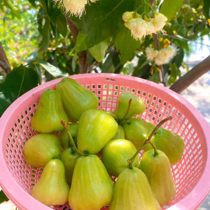 Photo of Others in Mui Ne