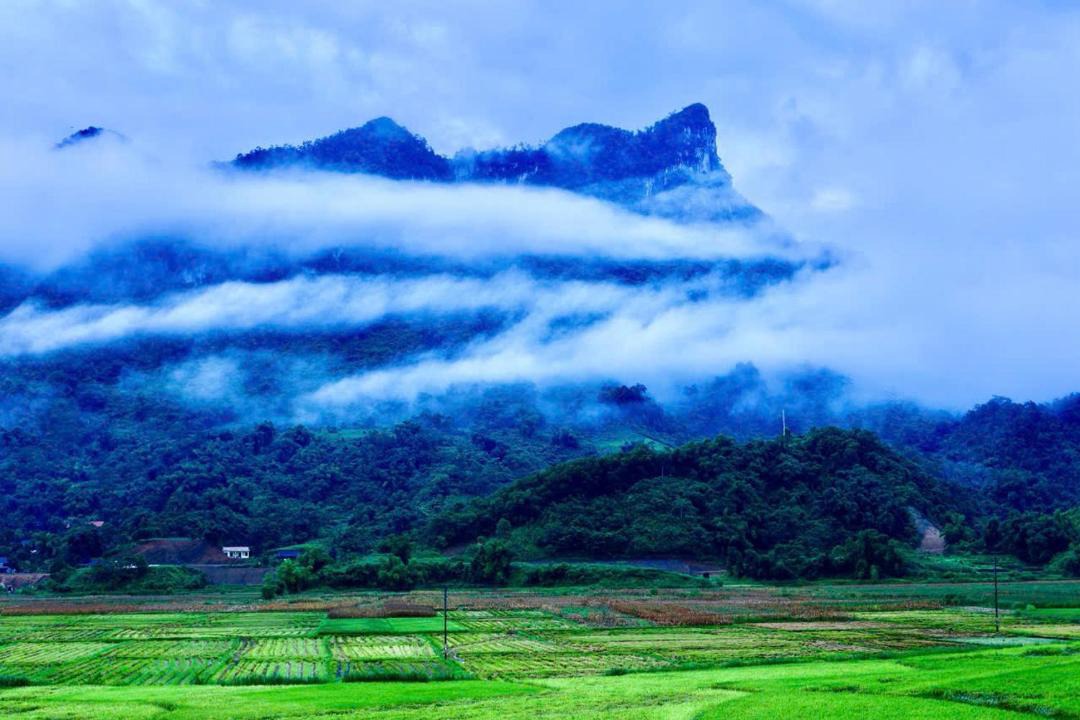 Photo of Others in Nam Mau