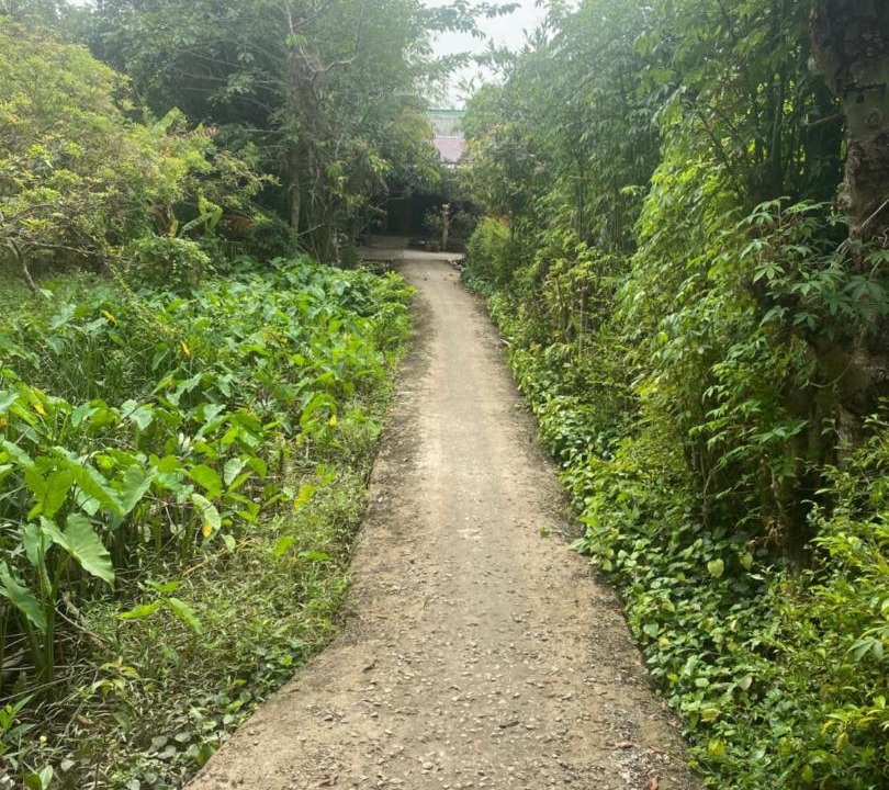 Photo of Others in Long Ho