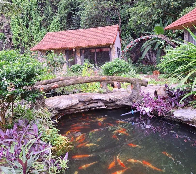 Photo of Others in Hoa Lu