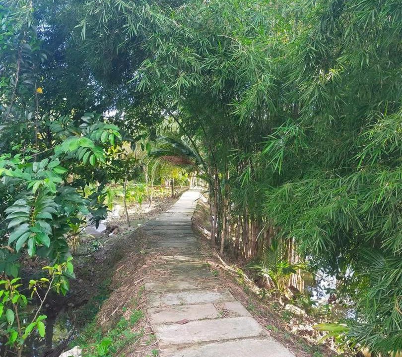 Photo of Outdoor in Vinh Long