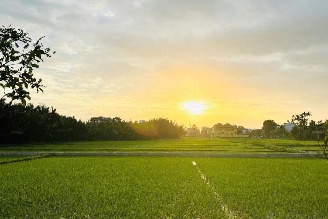 Photo of Others in Cam Thanh