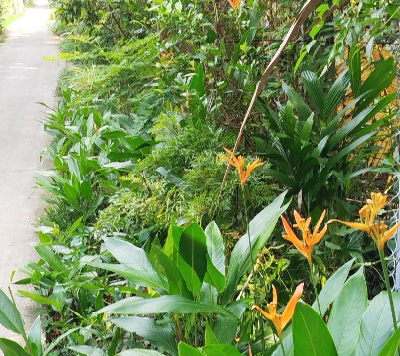 Photo of Outdoor in Giong Trom