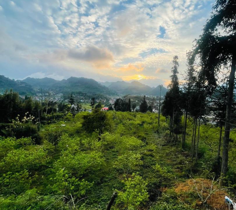Photo of Others in Bac Ha