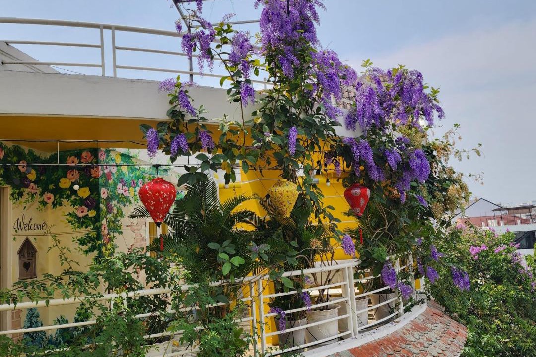 Photo of Others in Bien Hoa