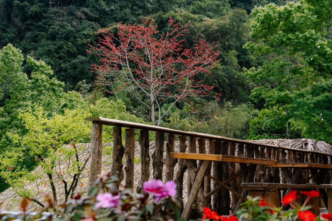 Photo of Others in Ha Giang