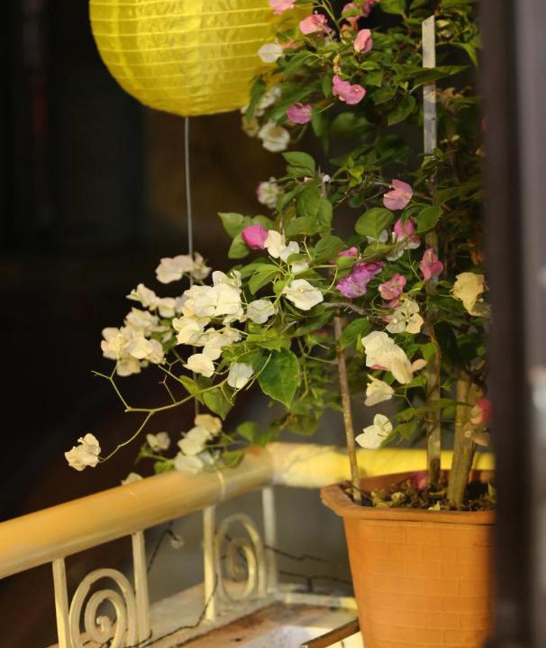 Photo of Others in Hang Trong