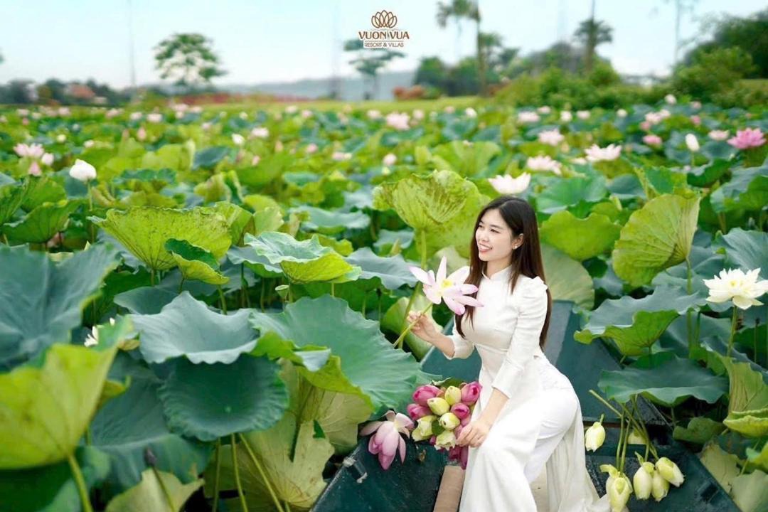 Photo of Outdoor in Thanh Thuy