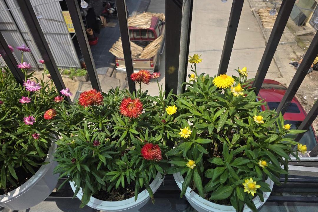 Photo of Patio Balcony in Cao Bang