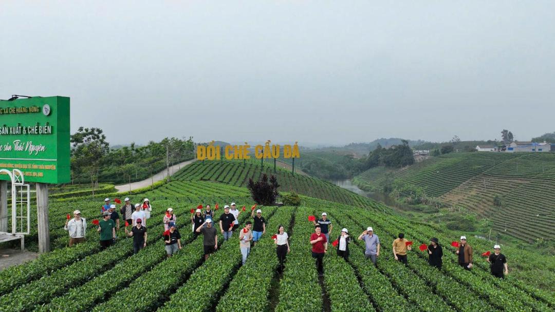 Photo of Others in Dai Tu
