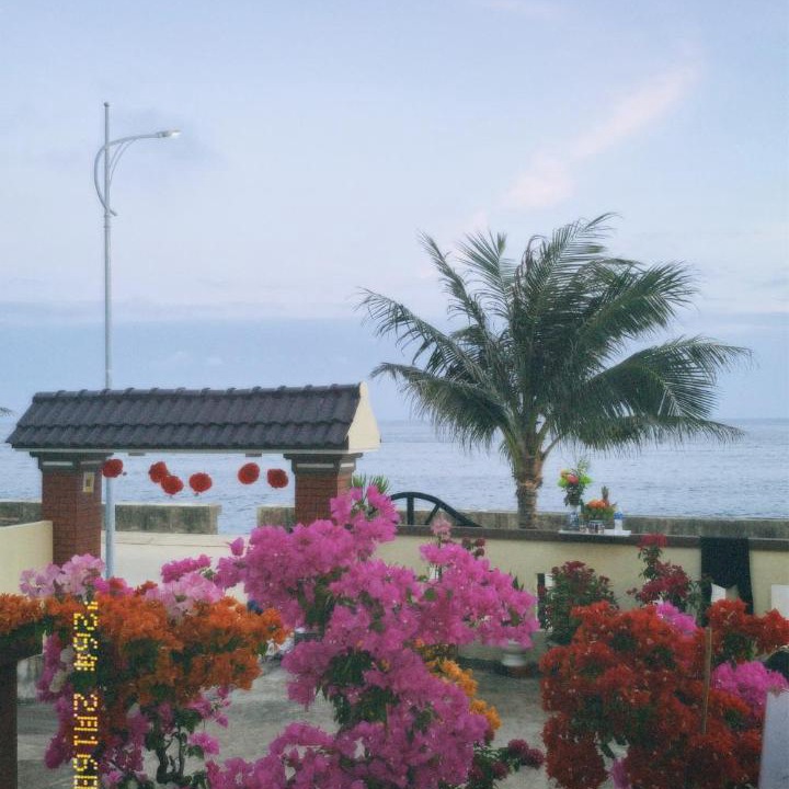 Photo of Others in Ly Son