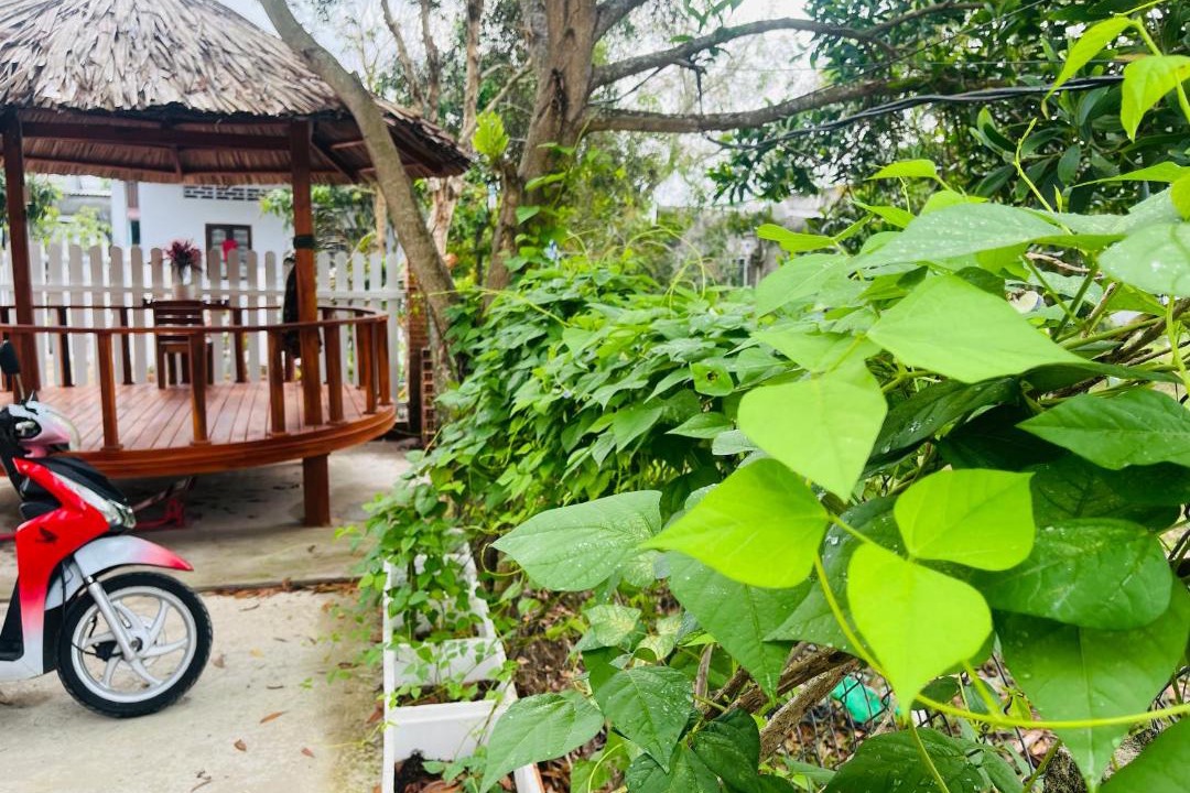 Photo of Others in Cua Can Village