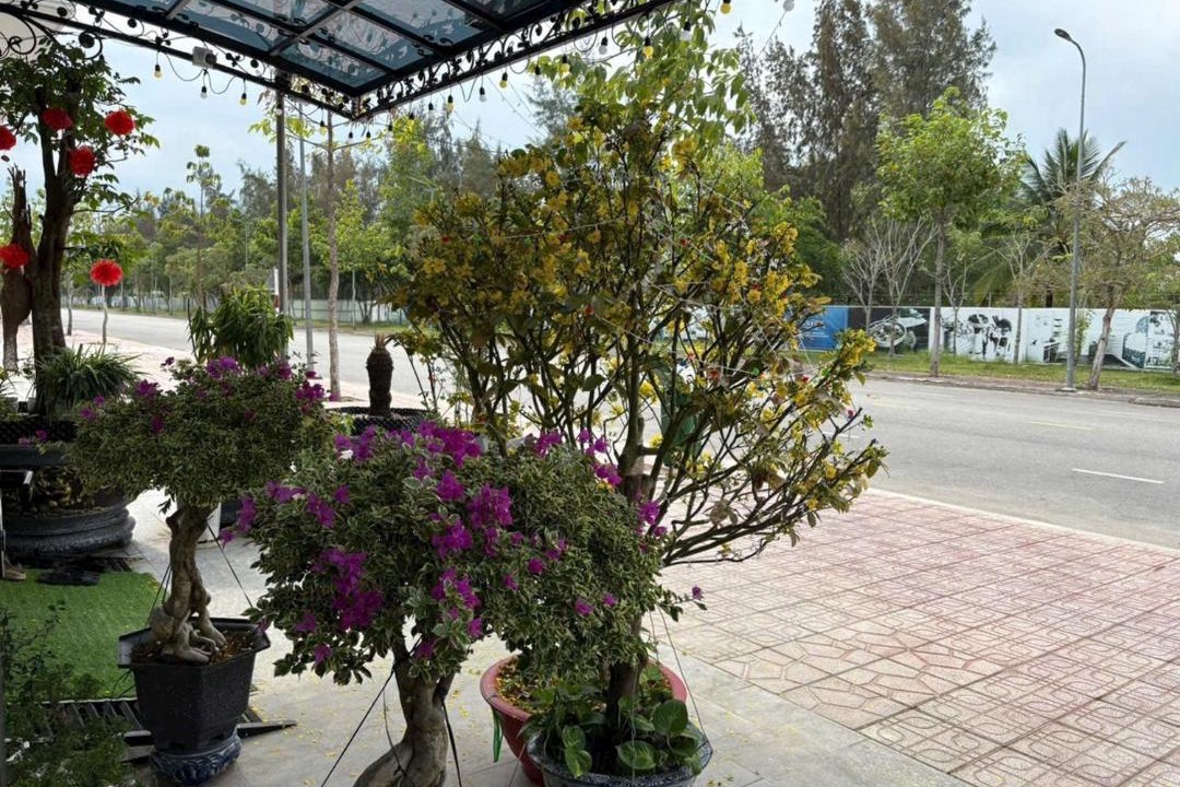 Photo of Others in Soc Trang