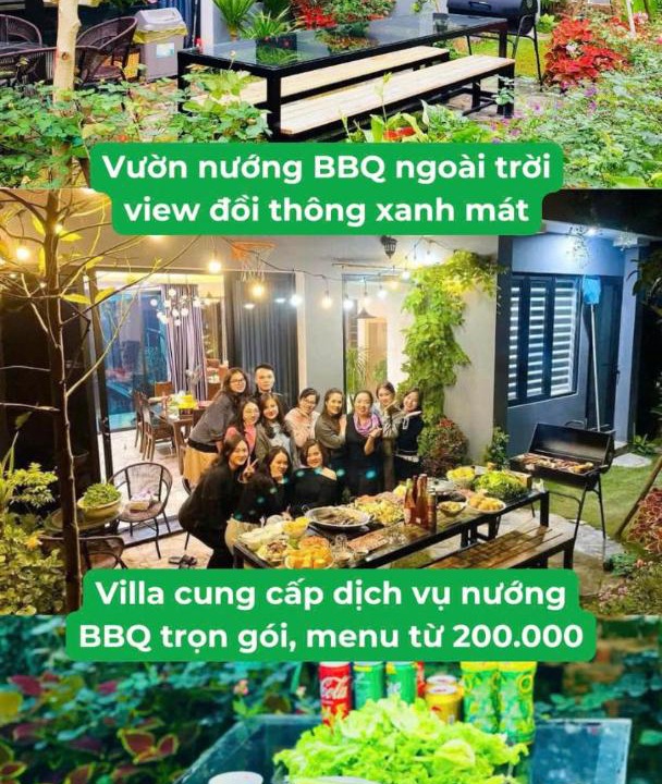 Photo of Others in Phuc Yen