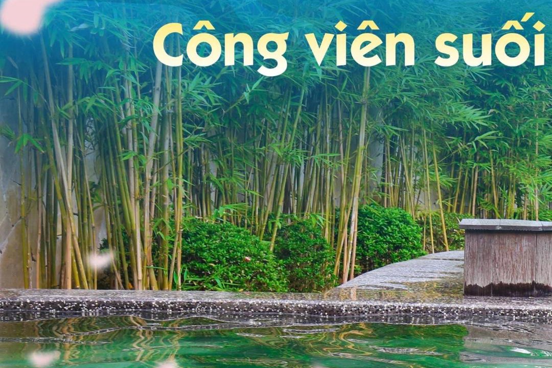 Photo of Others in Thanh Thuy