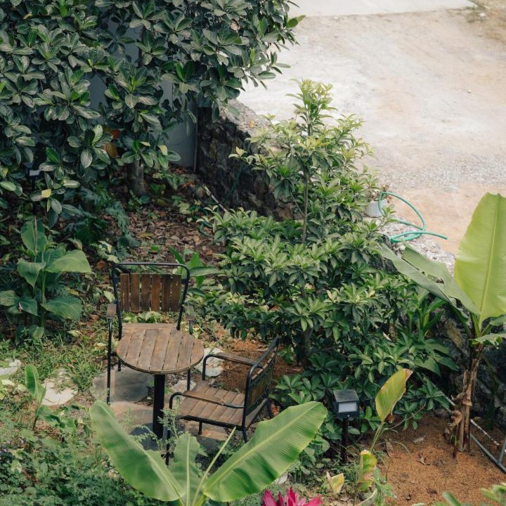 Photo of Others in Hoa Lu