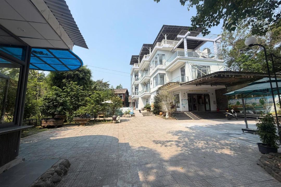 Photo of Others in Thuy Xuan