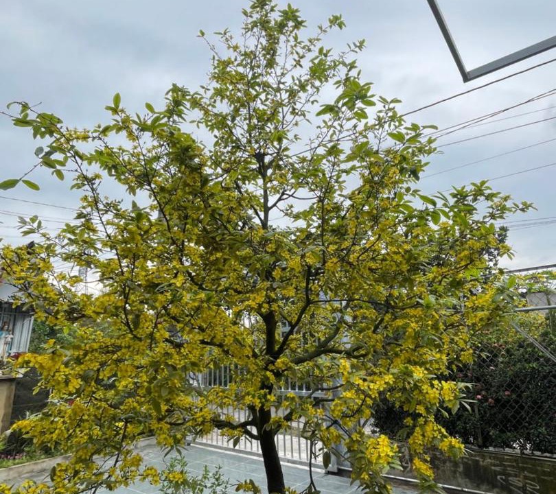 Photo of Outdoor in Cho Lach
