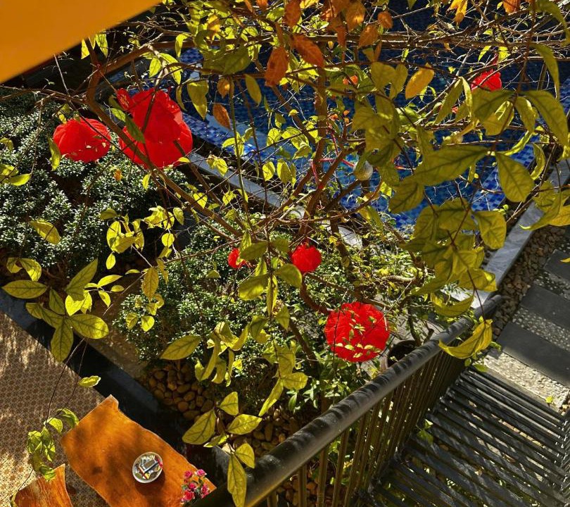Photo of Patio Balcony in Hue