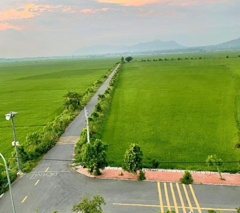 Photo of Others in Long Dien