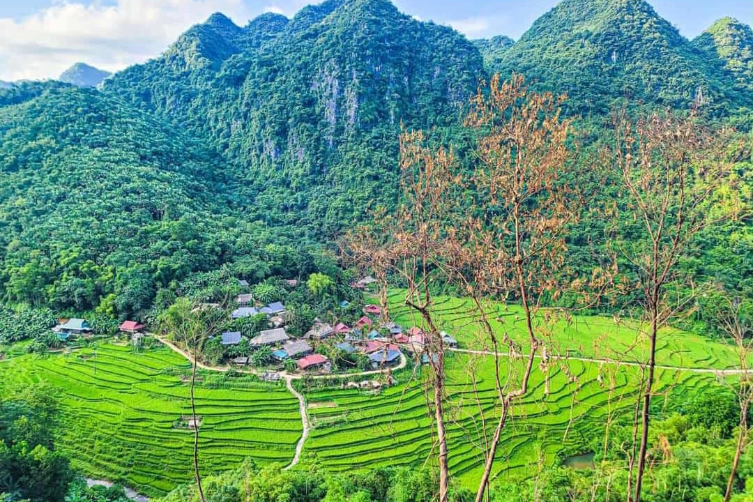 Photo of Others in Pu Long Nature Reserve