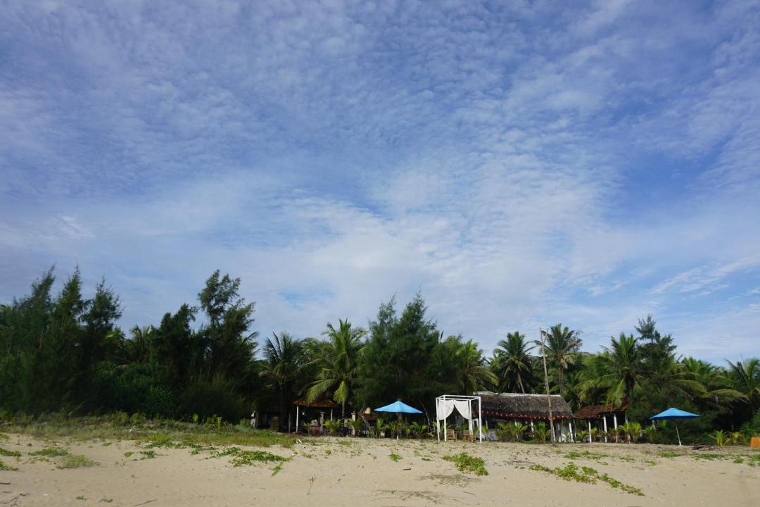 Photo of Others in Tam Ky