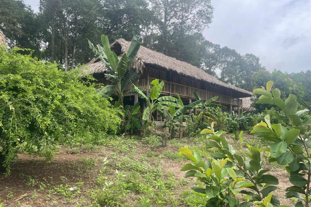 Photo of Others in Chau Duc