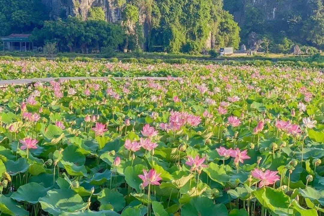Photo of Others in Hoa Lu