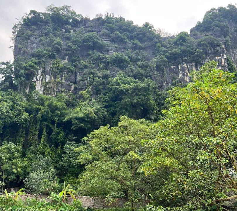 Photo of Others in Hoa Lu