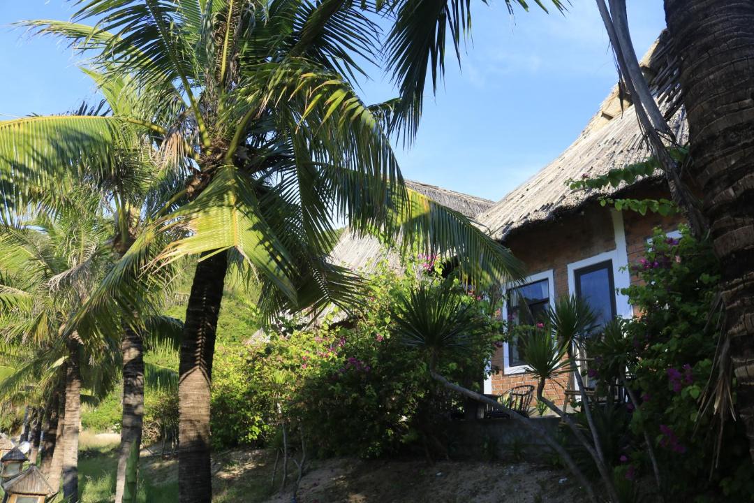 Photo of Others in Van Ninh