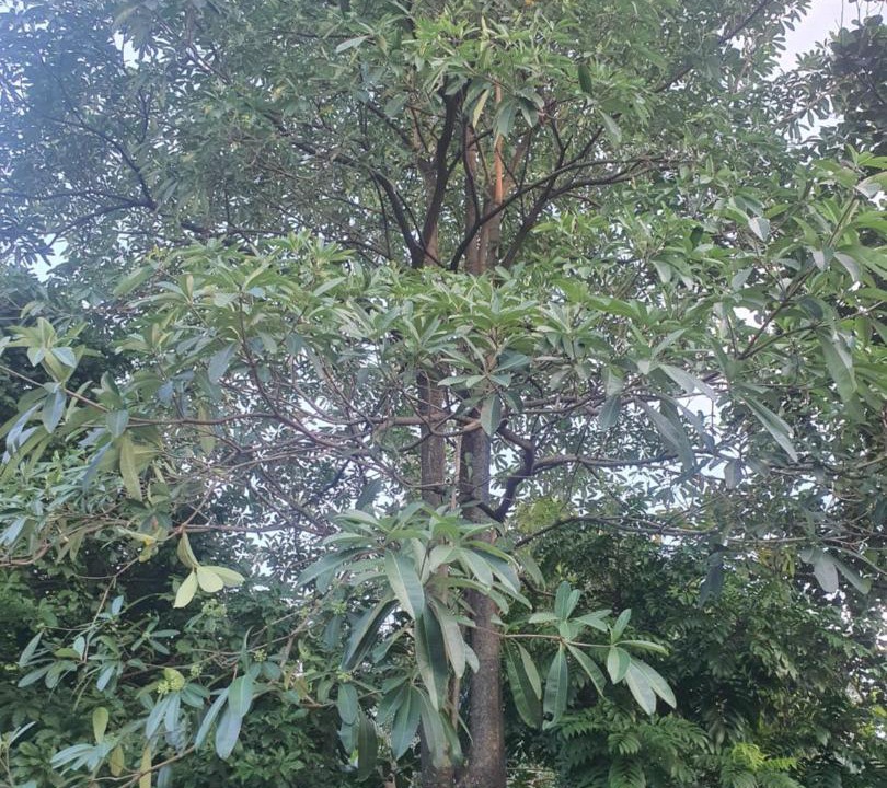 Photo of Others in Hoa Lu