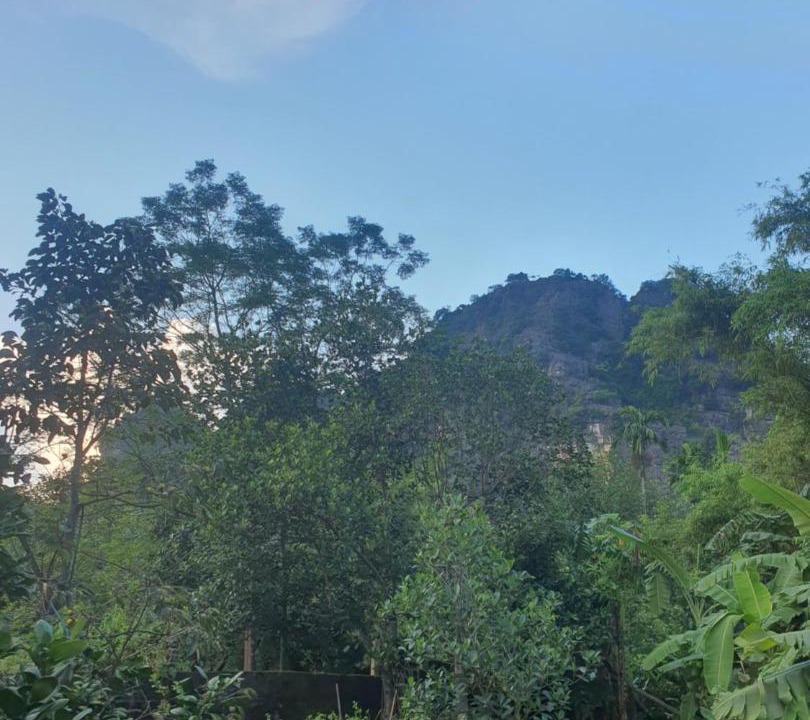 Photo of Others in Hoa Lu