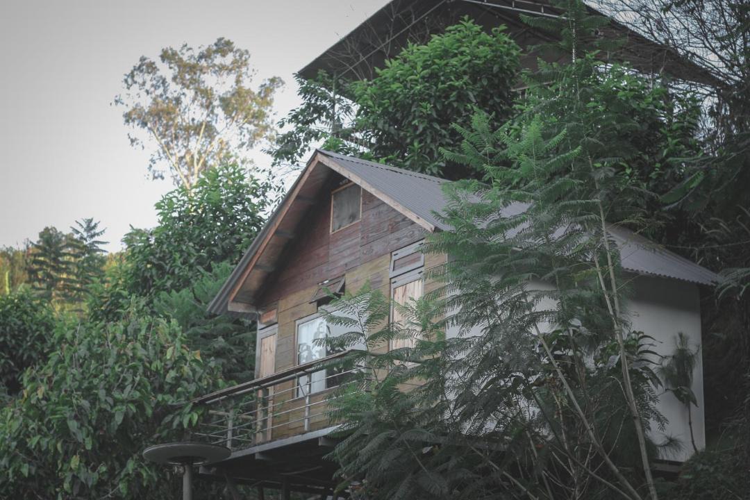 Photo of Others in Lam Ha