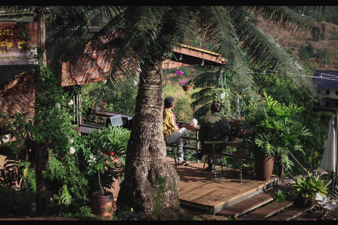 Photo of Others in Lam Ha