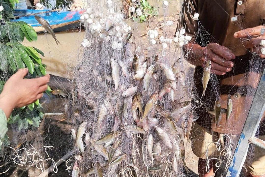 Photo of Others in Tinh Bien