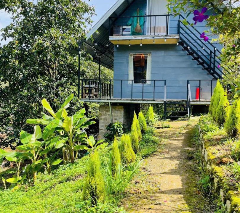 Photo of Others in Lac Duong