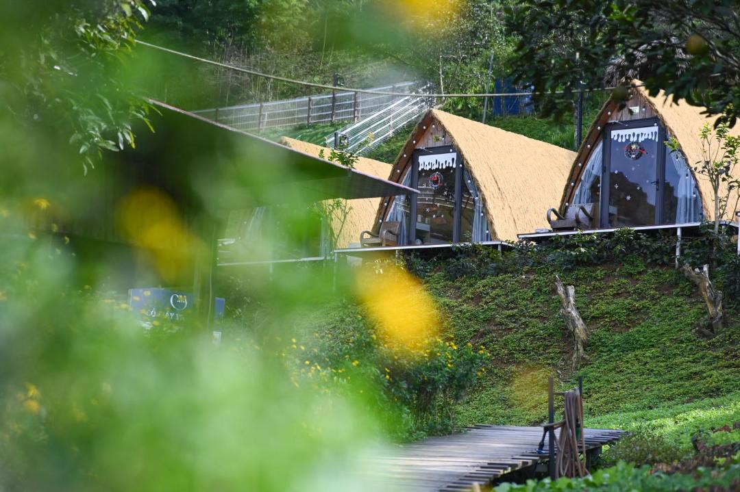 Photo of Others in Moc Chau