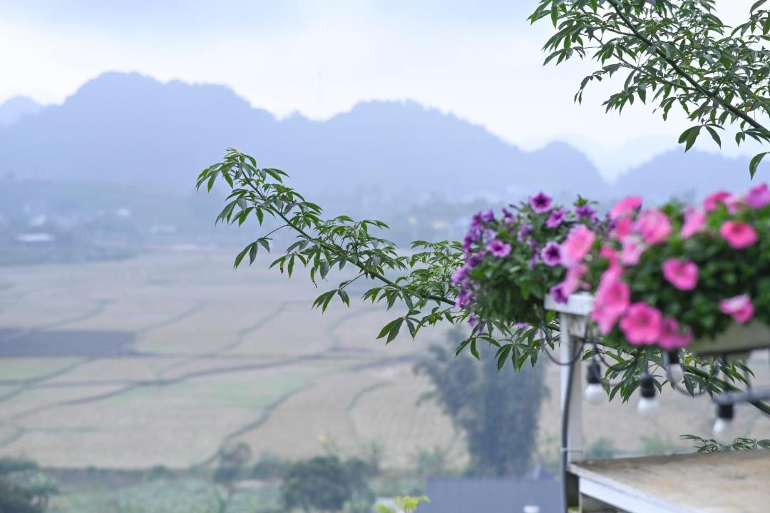 Photo of Others in Moc Chau