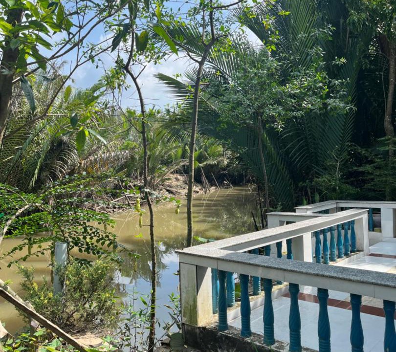 Photo of Others in Ben Tre