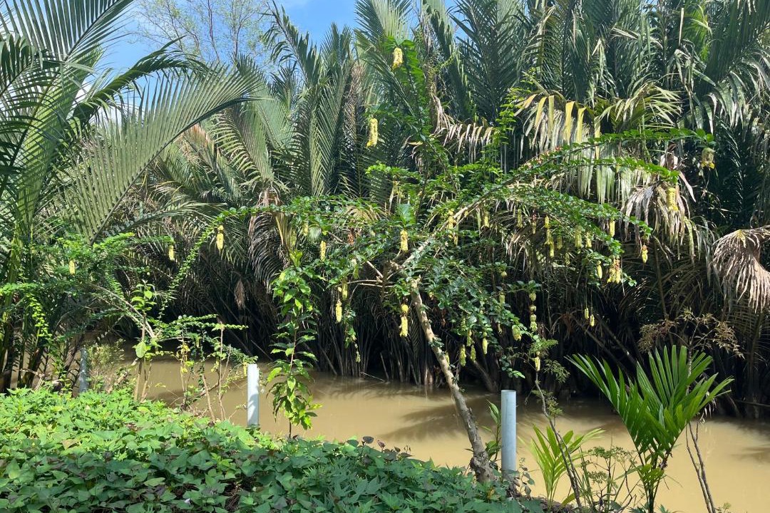 Photo of Others in Ben Tre