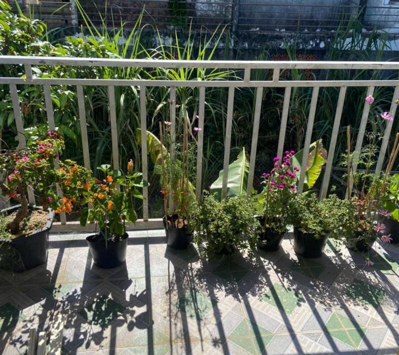 Photo of Others in Chau Phu