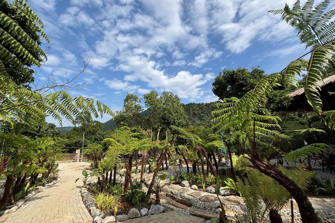 Photo of Outdoor in Soc Son